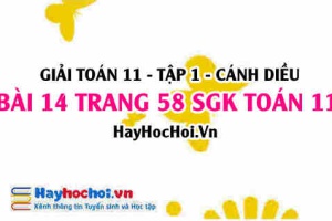 Giải bài 14 trang 58 Toán 11 tập 1 SGK Cánh Diều: Ứng dụng cấp số nhân